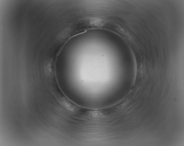 X0000070240424200606021135
