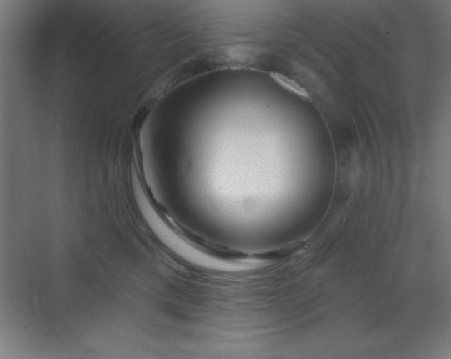 X0000070240425200606021135