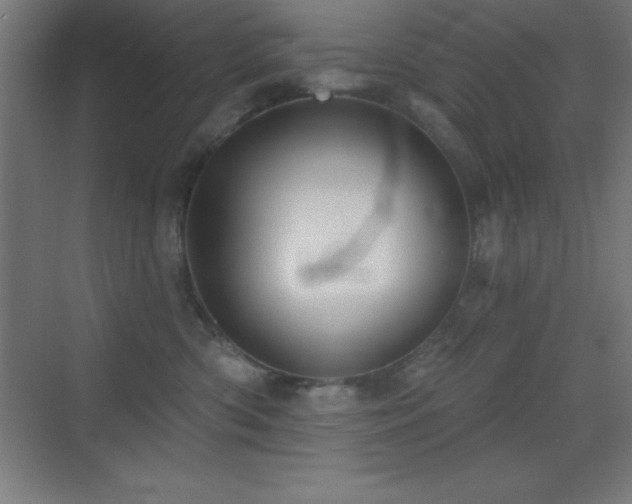 X0000070240426200606021135