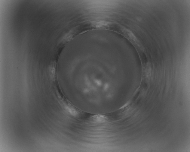 X0000070240427200606021135