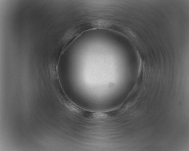 X0000070240429200606021135