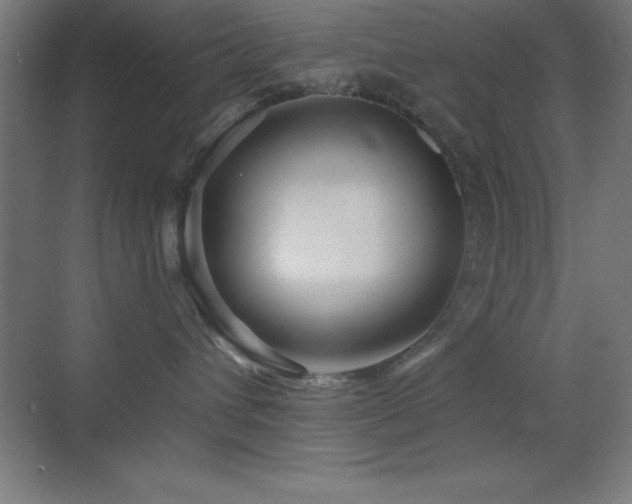 X0000070240432200606021135