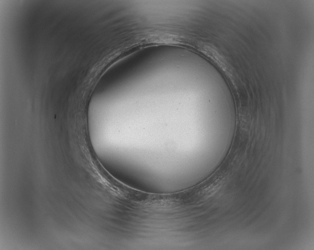 X0000070240433200606021134