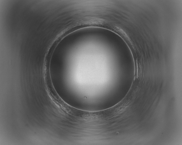 X0000070240435200606021134