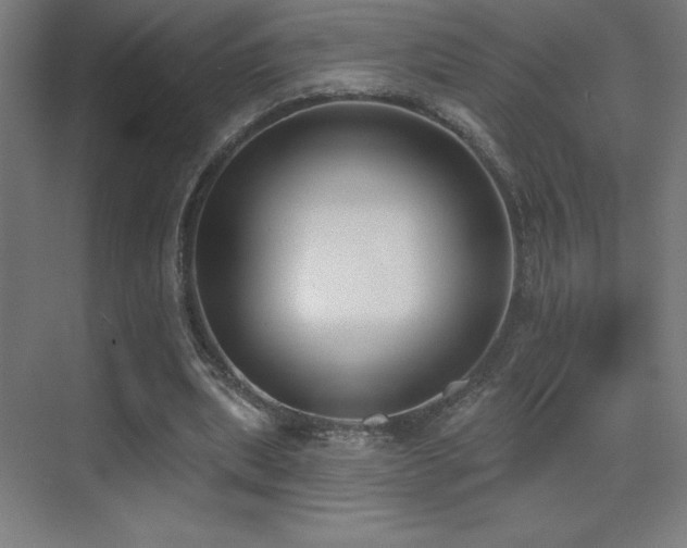 X0000070240439200606021134