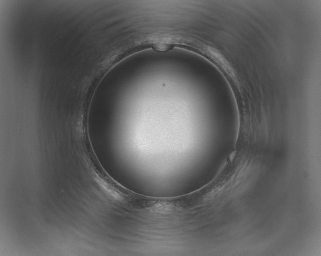 X0000070240441200606021134