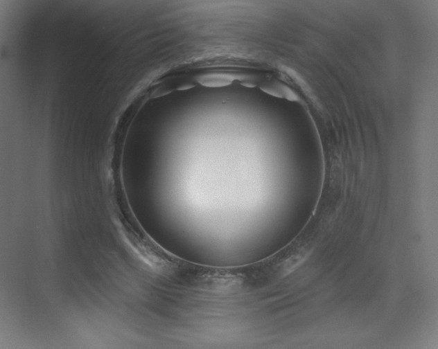 X0000070240443200606021134