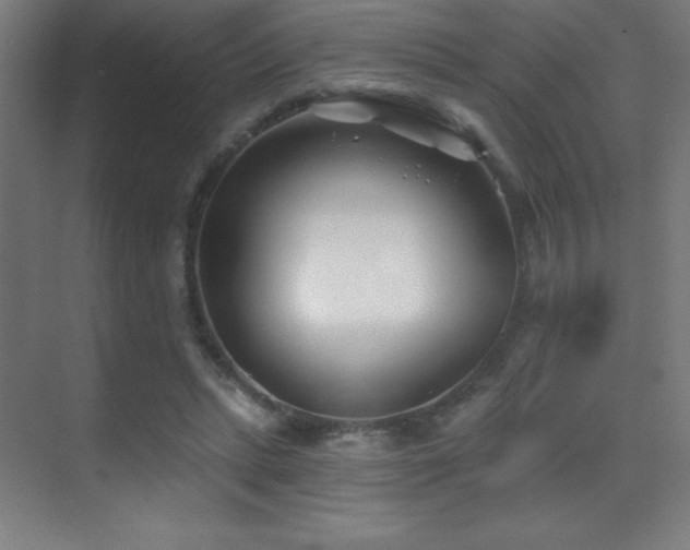X0000070240447200606021134