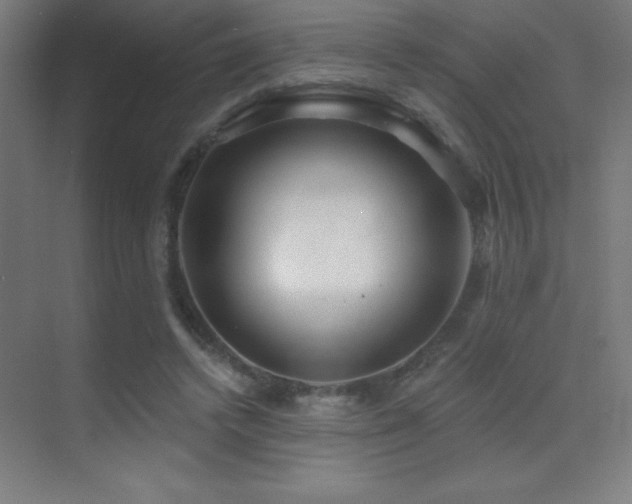 X0000070240448200606021134