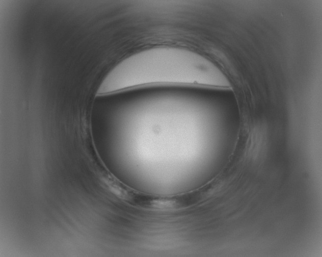 X0000070240457200606021134