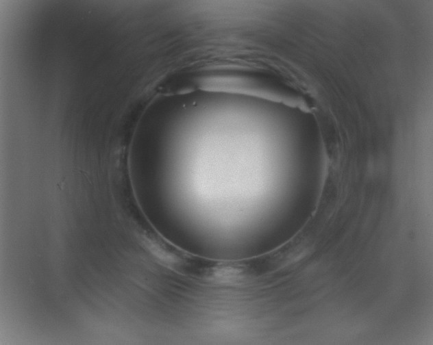 X0000070240462200606021134