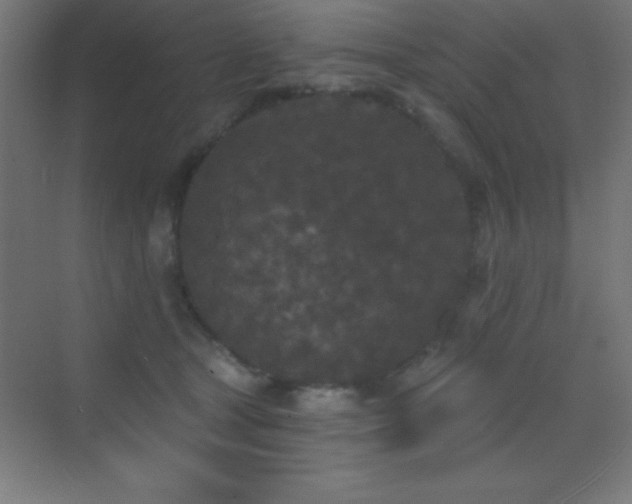 X0000070240465200606021134