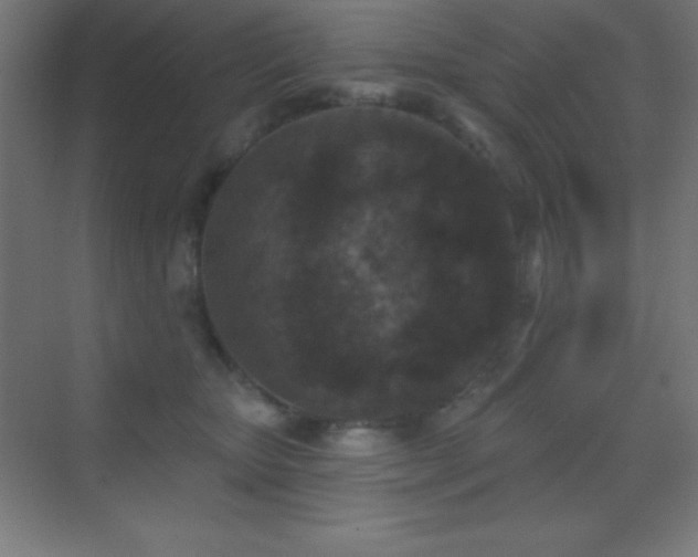 X0000070240467200606021134