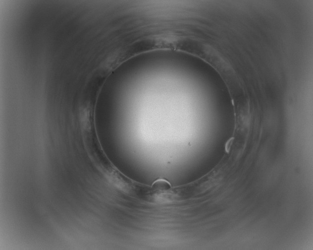 X0000070240468200606021134