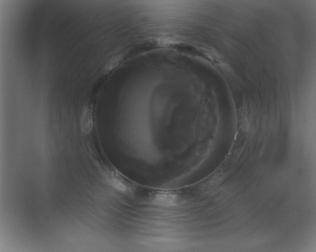 X0000070240471200606021134