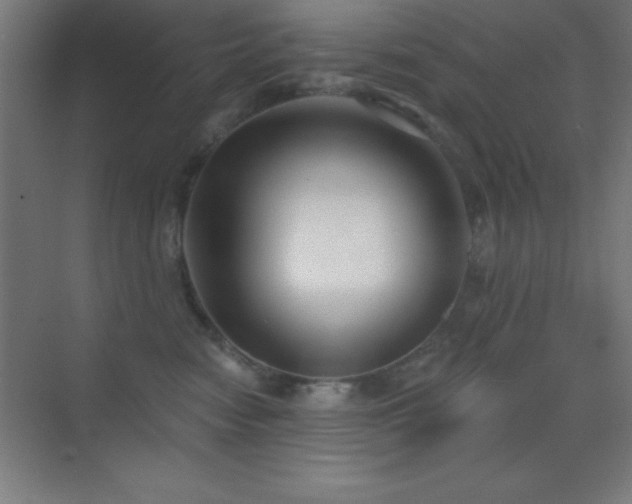 X0000070240474200606021135