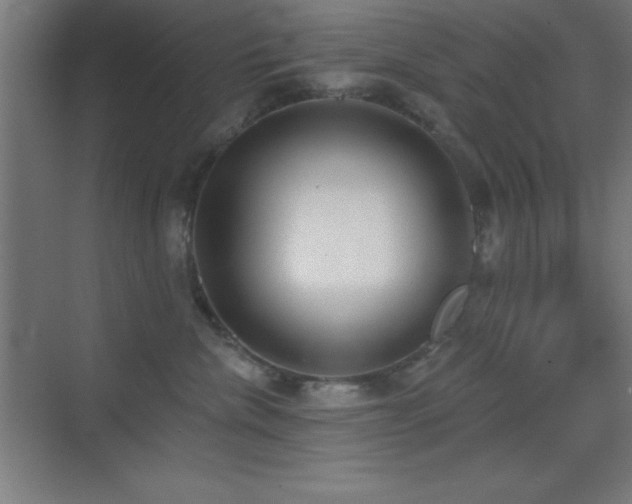 X0000070240476200606021135