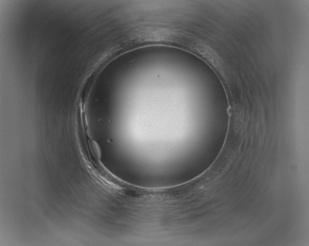X0000070240482200606021134