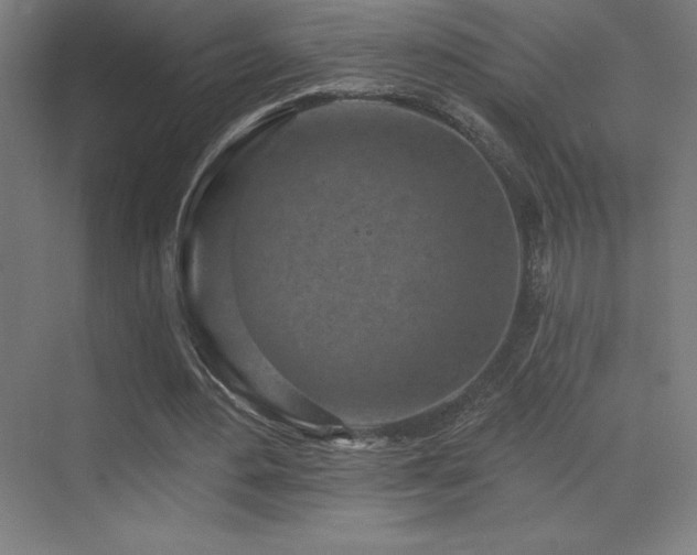 X0000070240484200606021134