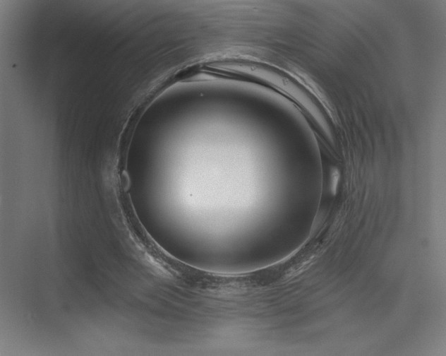 X0000070240485200606021134