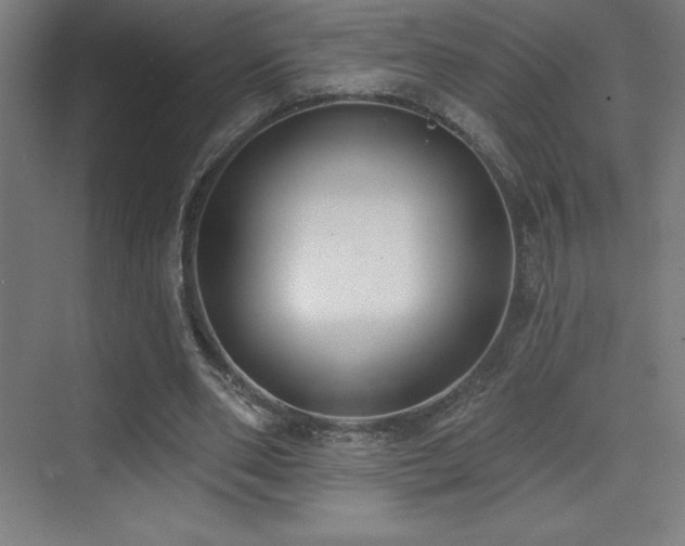 X0000070240486200606021134