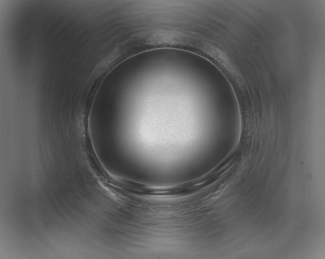 X0000070240489200606021134