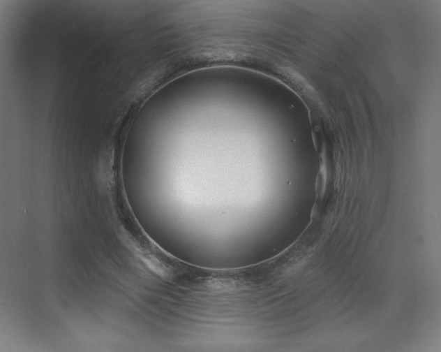 X0000070240490200606021134