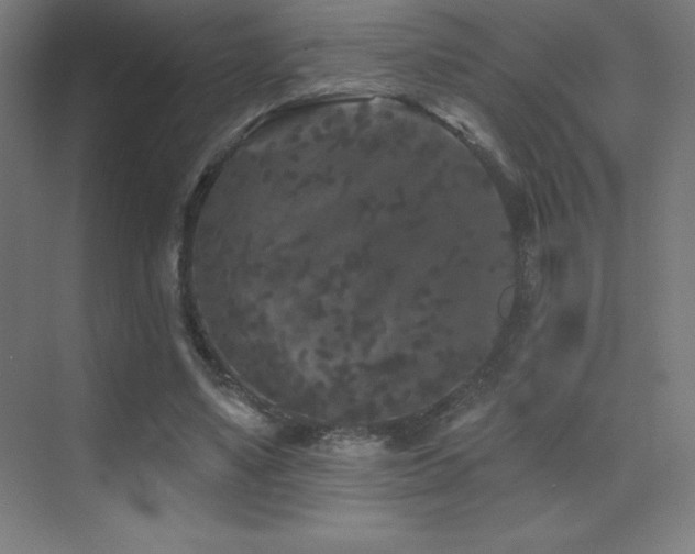 X0000070240491200606021134