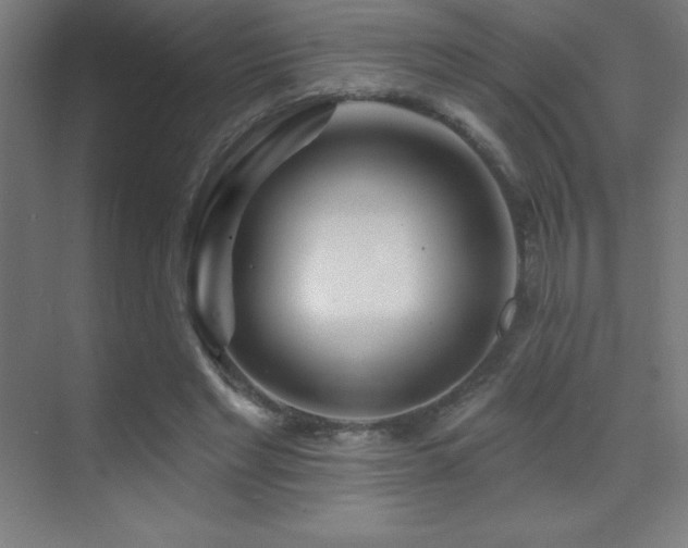 X0000070240493200606021134