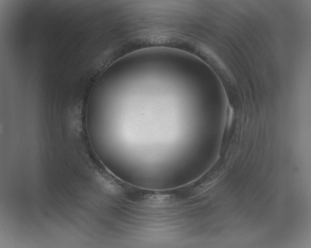 X0000070240497200606021134