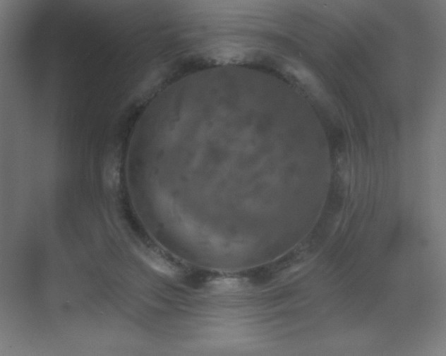 X0000070240499200606021134
