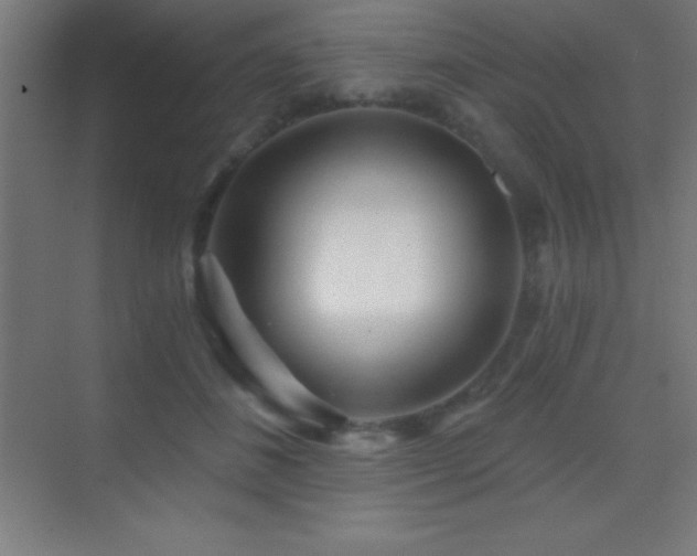 X0000070240508200606021133