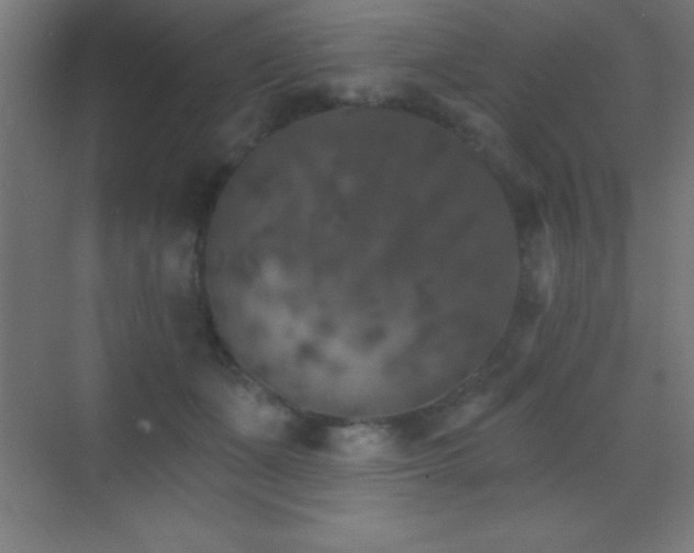 X0000070240511200606021133