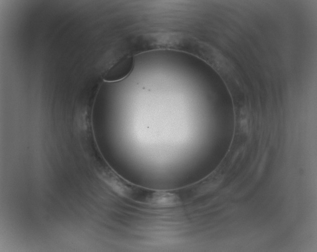 X0000070240514200606021133