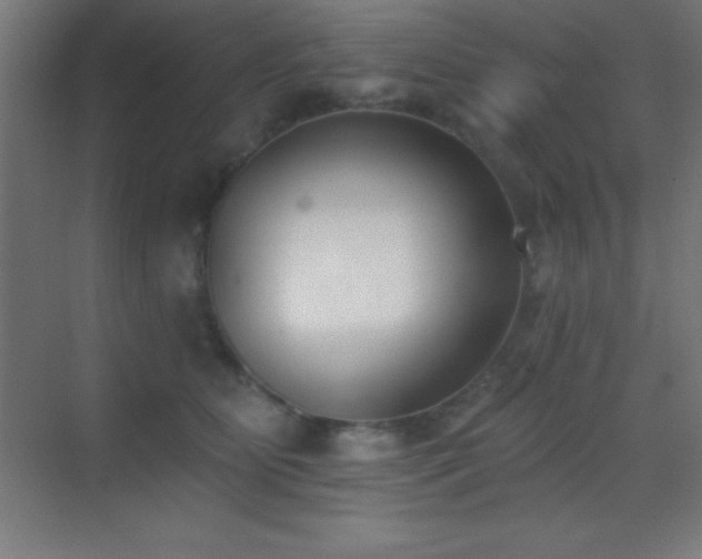 X0000070240515200606021133