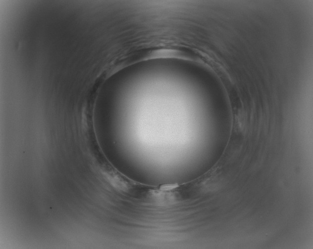 X0000070240520200606021133