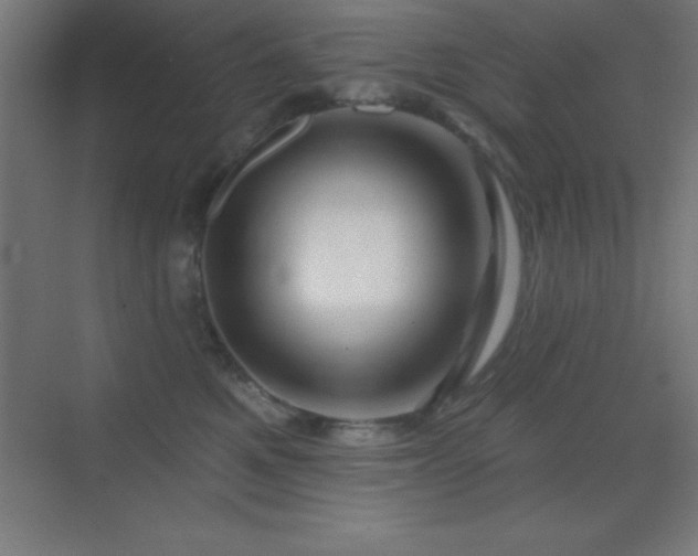 X0000070240521200606021133