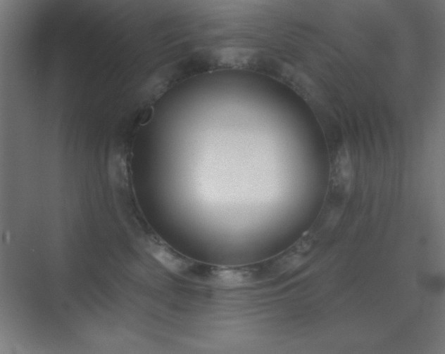X0000070240522200606021133