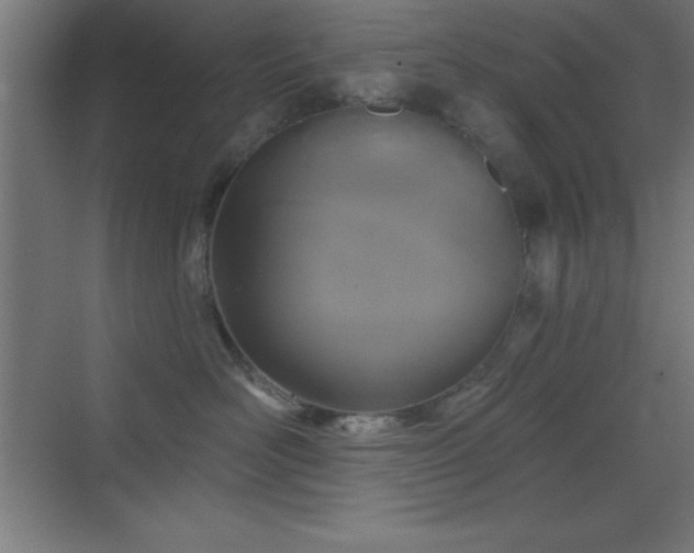 X0000070240526200606021133