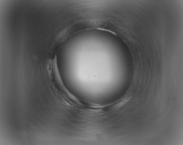 X0000070240528200606021133