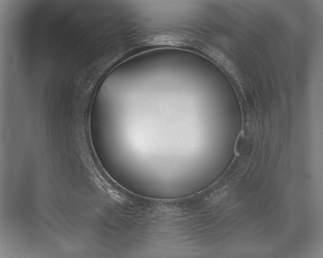 X0000070240529200606021132