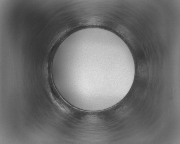 X0000070240534200606021132