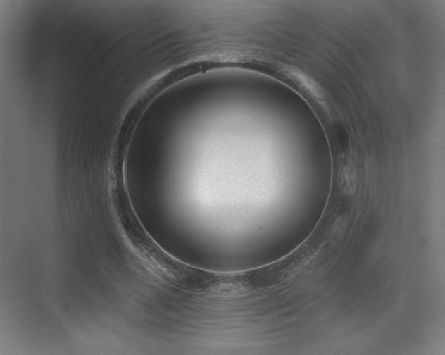 X0000070240536200606021132