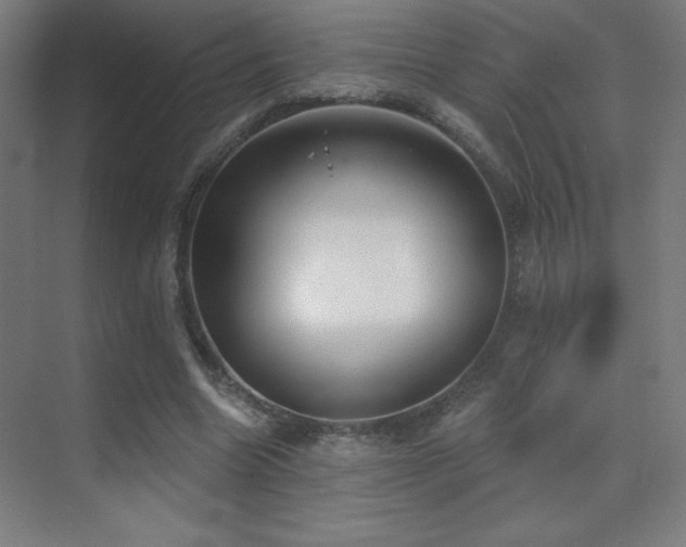 X0000070240538200606021132