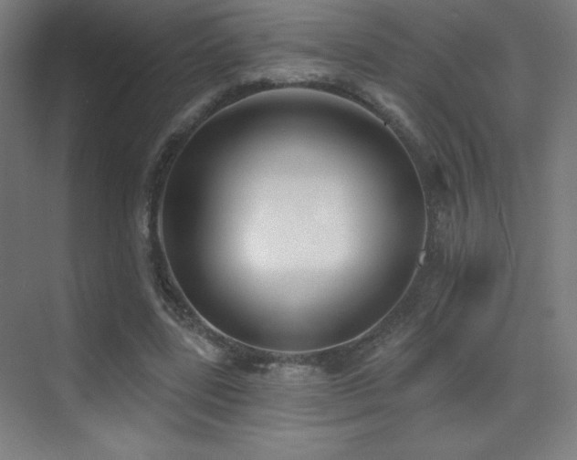 X0000070240539200606021132
