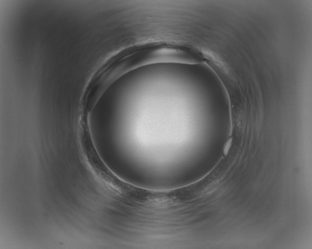 X0000070240540200606021132