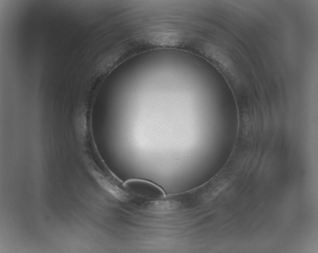 X0000070240541200606021132