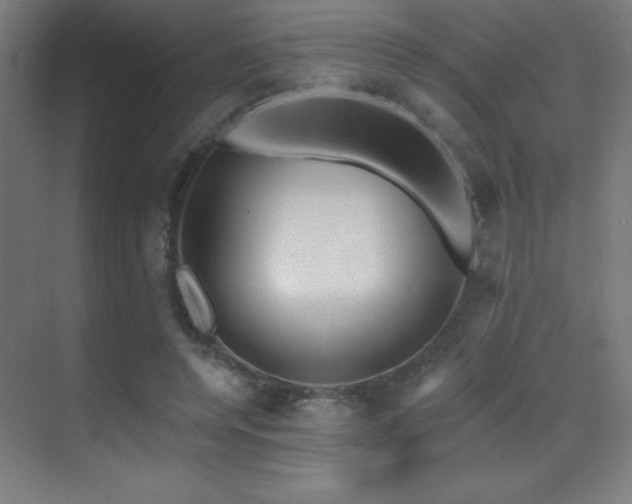 X0000070240544200606021132