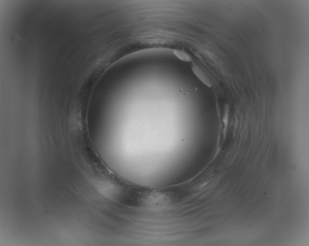 X0000070240547200606021133