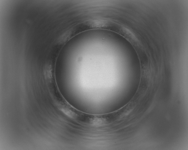 X0000070240549200606021133